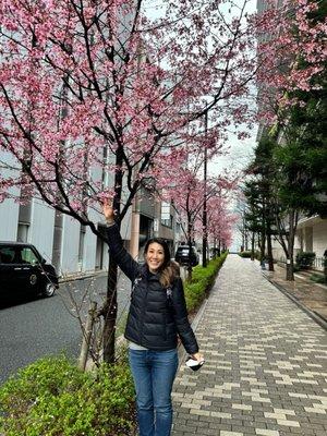 photo of Meridith M.