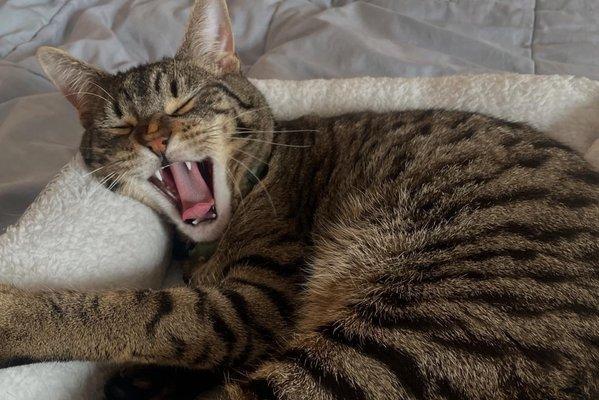 photo of Benjamin H.