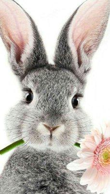 photo of Betty Lou W.