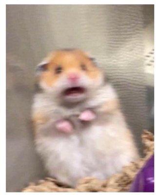 photo of Christopher L.