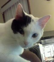 Photo of Josette S.