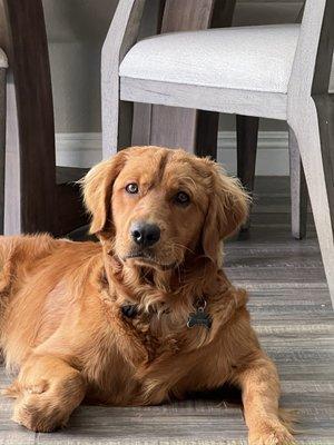 photo of Dennis Yolanda A.