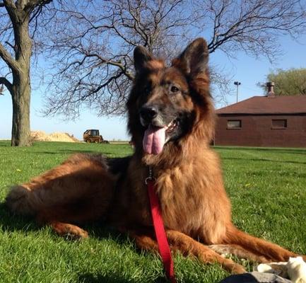 photo of Courtney O.