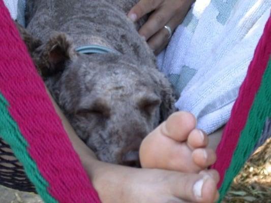 photo of Jacqueline S.