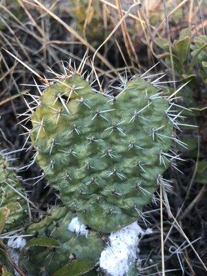 photo of michelle e.