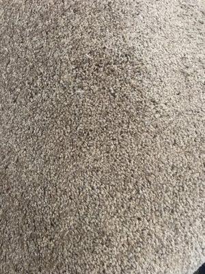 photo of Jonathan M.