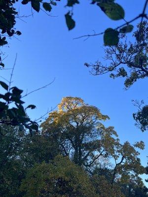 photo of Katherine M.