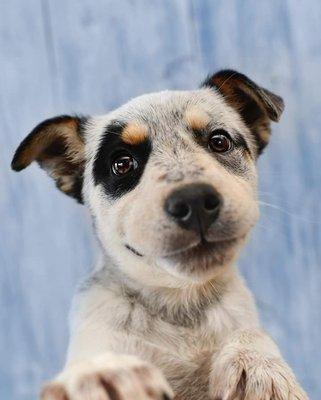 photo of Patricia C.