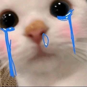 photo of Andrew Liu L.