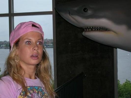 Photo of Ashley H.