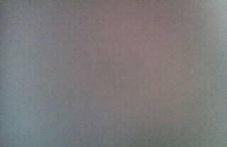 photo of Kanishka K.