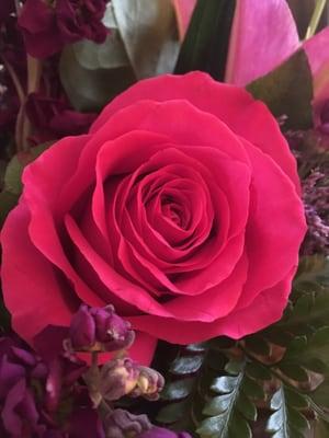 photo of Sherri Lynn W.