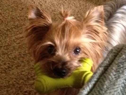 Photo of Shellee L.