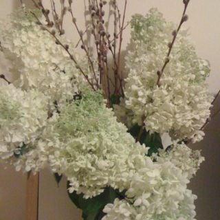 photo of Christina M.