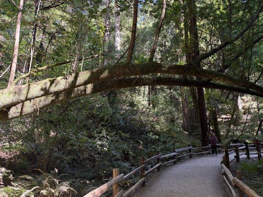 photo of Alcatraz Tours T.
