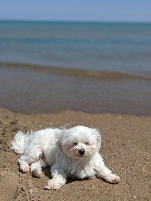 photo of Raynesia F.