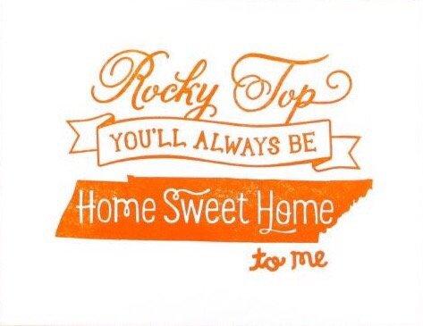 photo of ZVanessa Z.