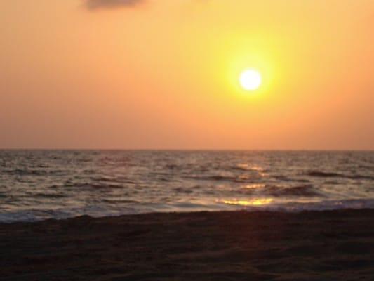 photo of Michelle T.