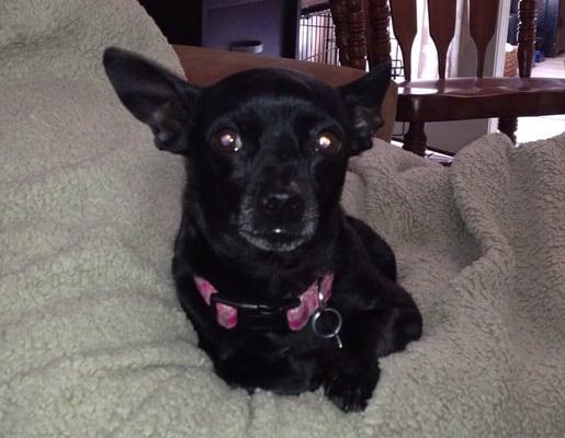 photo of Christine T.