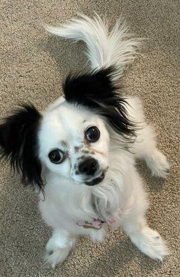 photo of Elizabeth C.