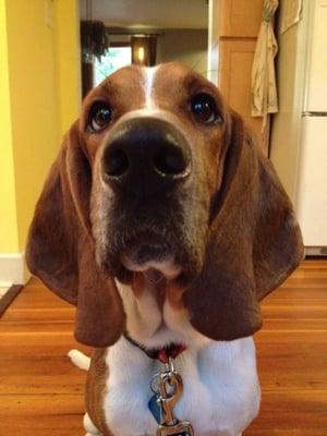 photo of Michelle B.