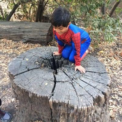 Photo of Kiran R.