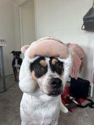 Photo of Maya A.