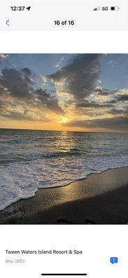 photo of Beautiful E.