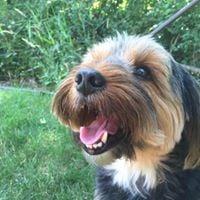 photo of Catherine T.