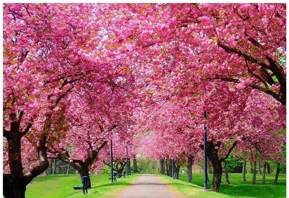 photo of Jennifer C.