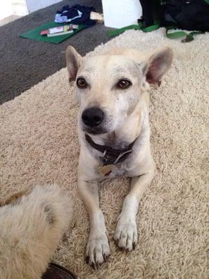 photo of Amandine R.