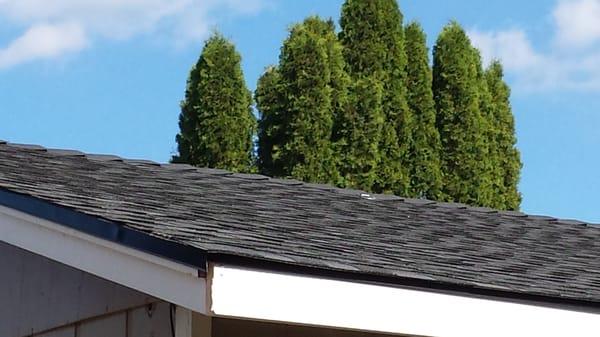 photo of Elizabeth N.