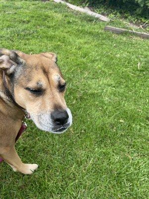 photo of Beautiful Q.