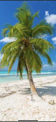 photo of Christine P.