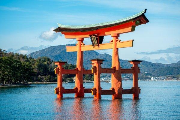 Photo of Shinto B.