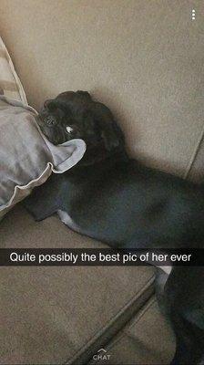 Photo of Christique M.