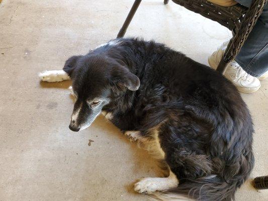 photo of Shelleen K.