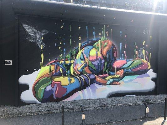 photo of Daniella C.