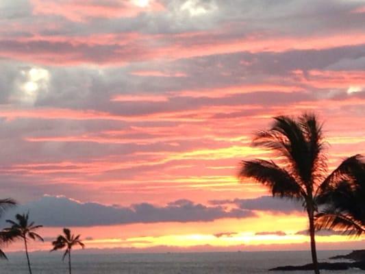 photo of Patricia F.