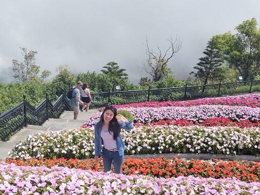 Photo of Linh N.