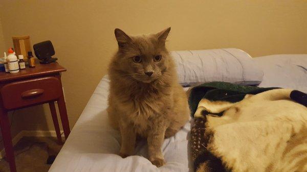 Photo of Kat W.
