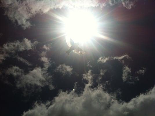 Photo of Kristian H.