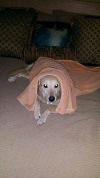 Photo of Julianne B.