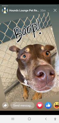 Photo of Bobbi M.