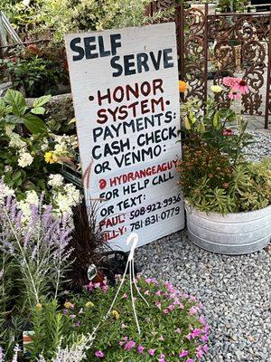 photo of Charlene M.