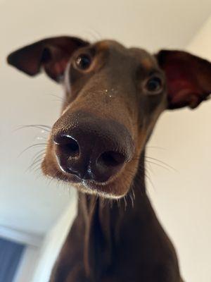 Photo of Tia S.