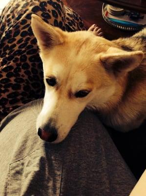 photo of Brittney A.