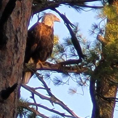 Photo of Adrienne B.