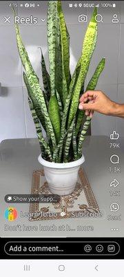 Photo of Lawrence J.