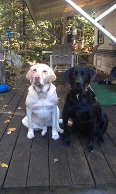 photo of Katherine G.